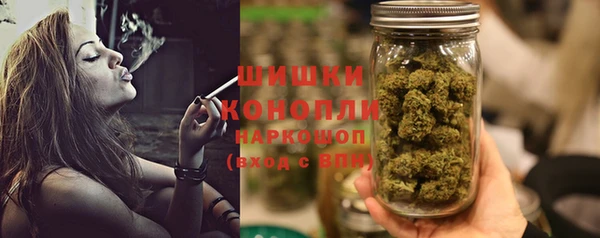 бошки Алексин